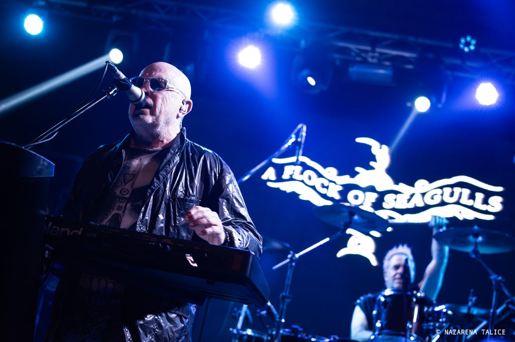 A Flock Of Seagulls (Buenos Aires)