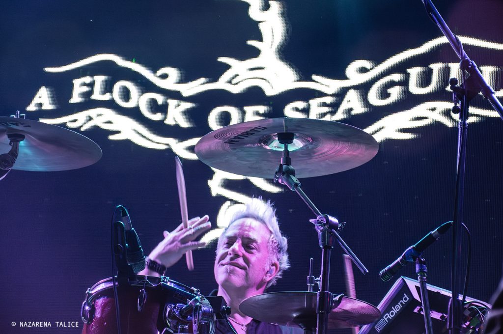 A Flock Of Seagulls (Buenos Aires)