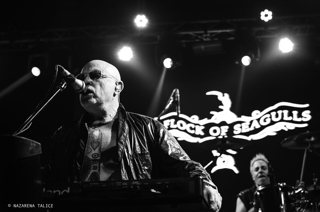 A Flock Of Seagulls (Buenos Aires)